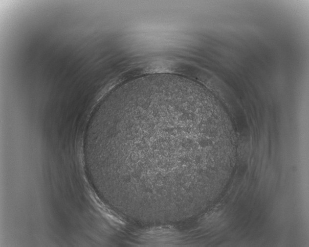 X0000062840386200601171451