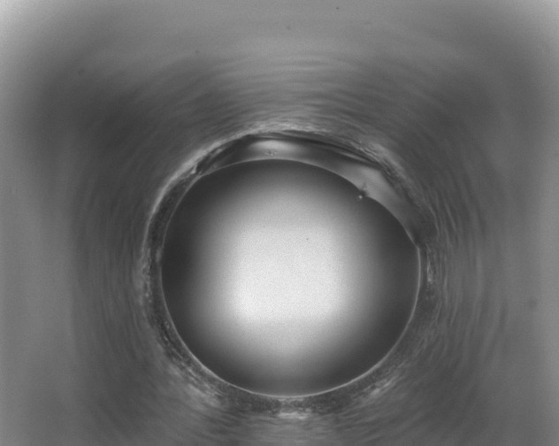 X0000062840388200601171451