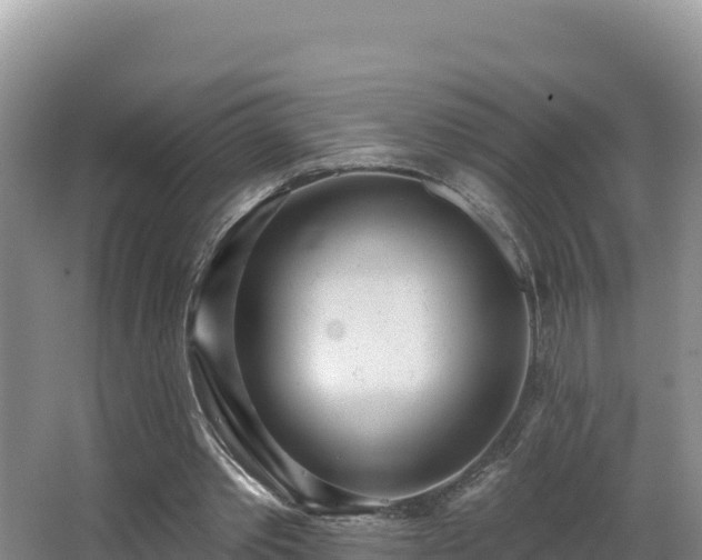 X0000062840389200601171451
