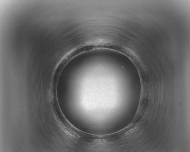 X0000062840392200601171451