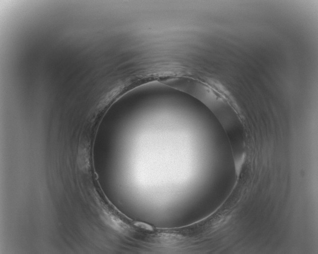 X0000062840393200601171451