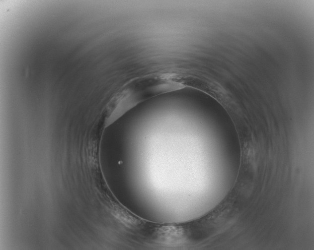 X0000062840421200601171450