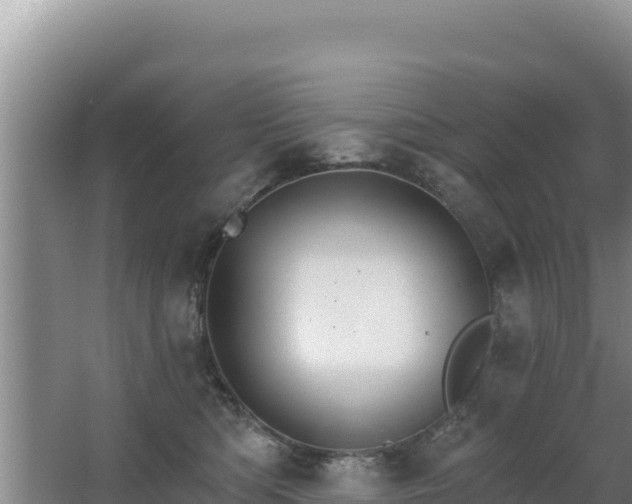 X0000062840422200601171450