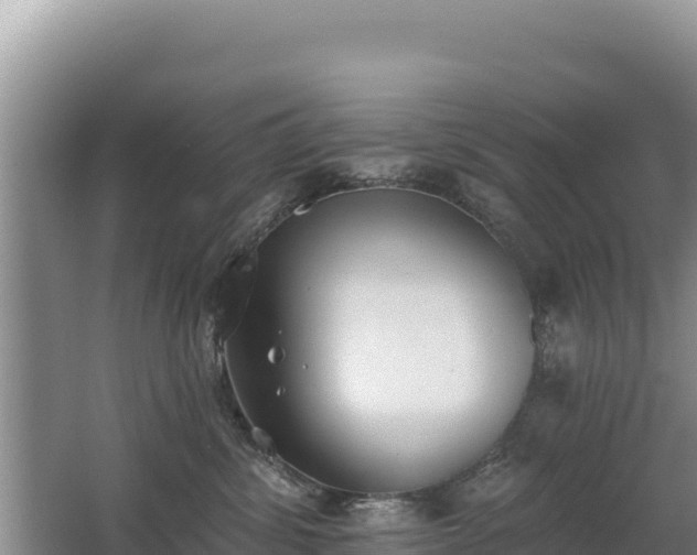 X0000062840428200601171450