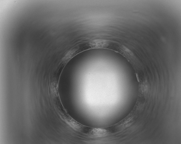 X0000062840429200601171450