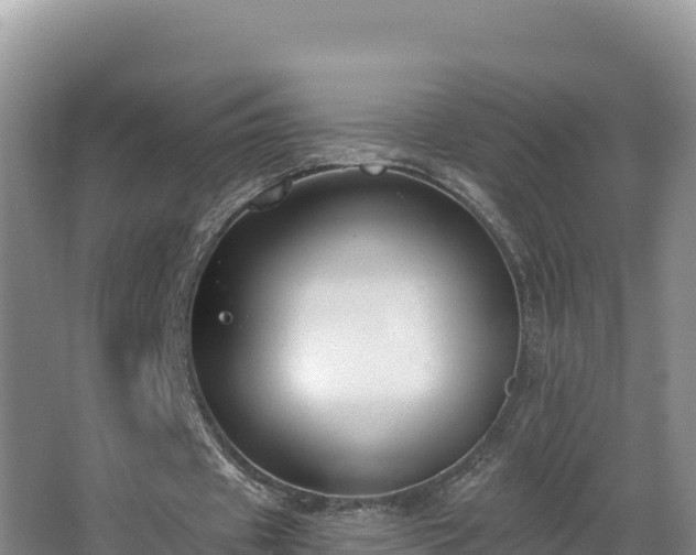X0000062840433200601171449