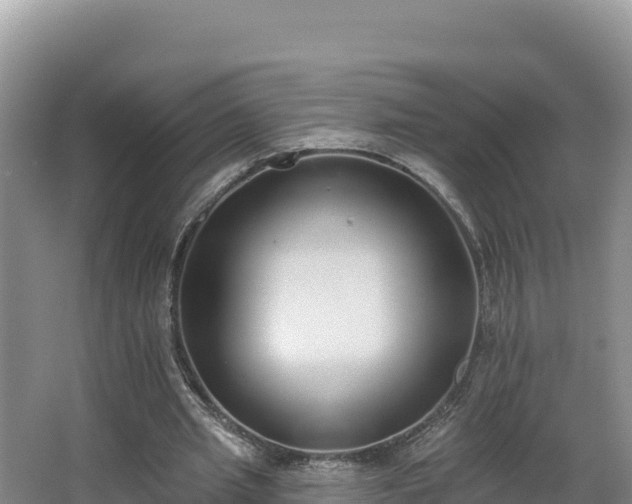 X0000062840437200601171449