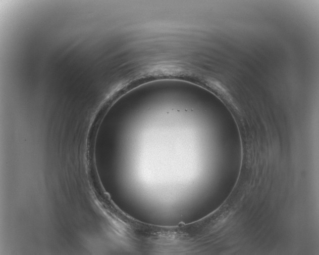 X0000062840439200601171449