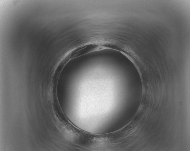 X0000062840440200601171449