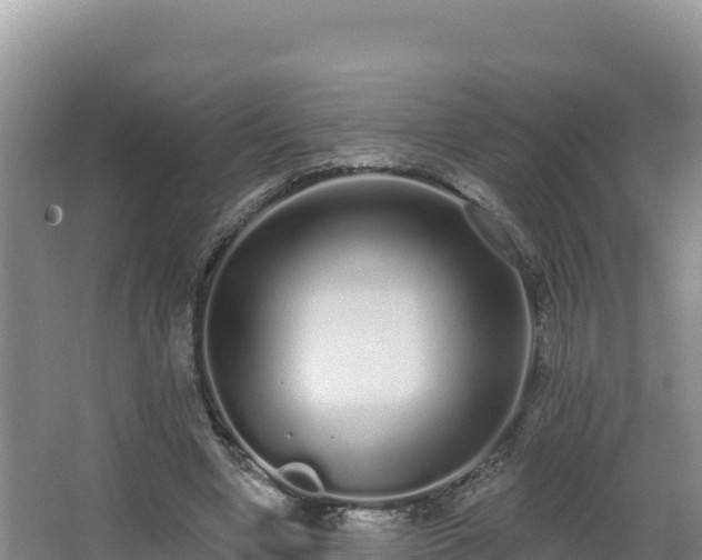 X0000062840442200601171449
