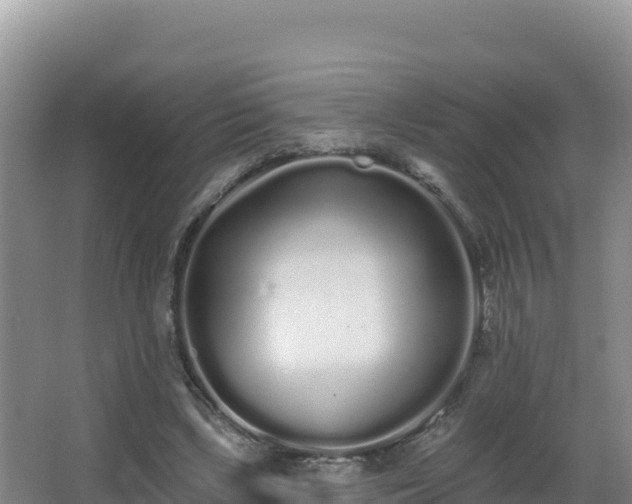 X0000062840443200601171449