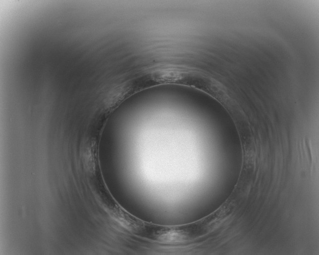 X0000062840460200601171450