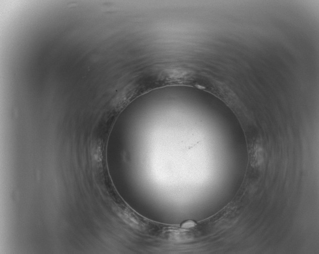 X0000062840472200601171450