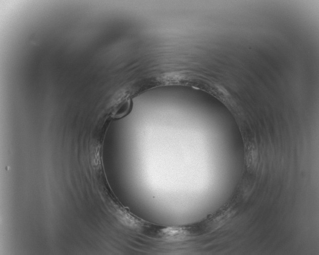 X0000062840477200601171450