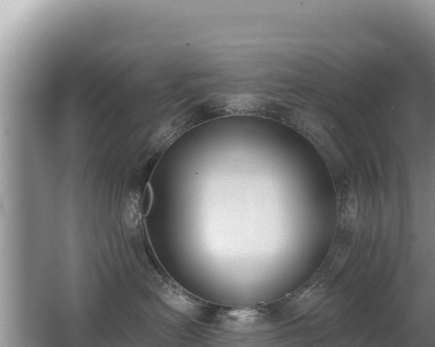 X0000062840478200601171450