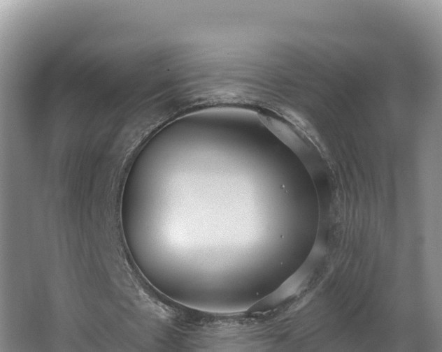 X0000062840481200601171449