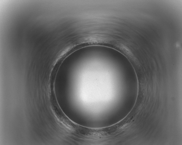 X0000062840488200601171449