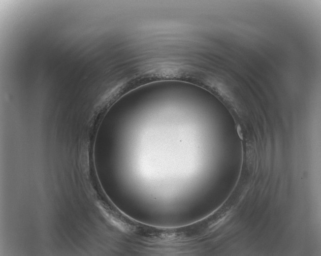 X0000062840493200601171449