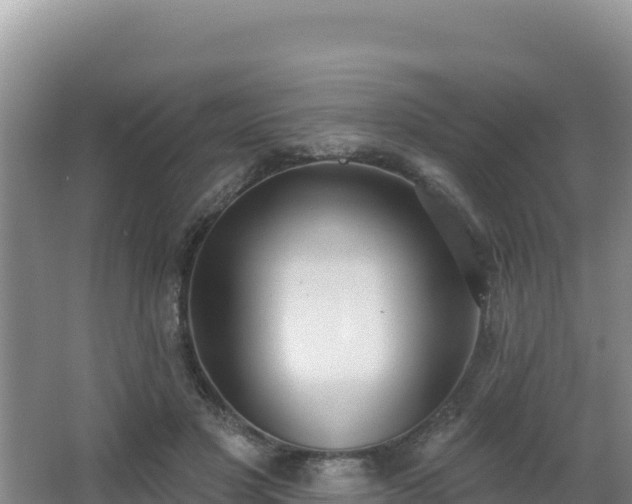 X0000062840501200601171449