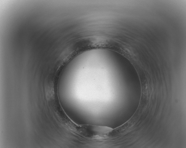 X0000062840508200601171449