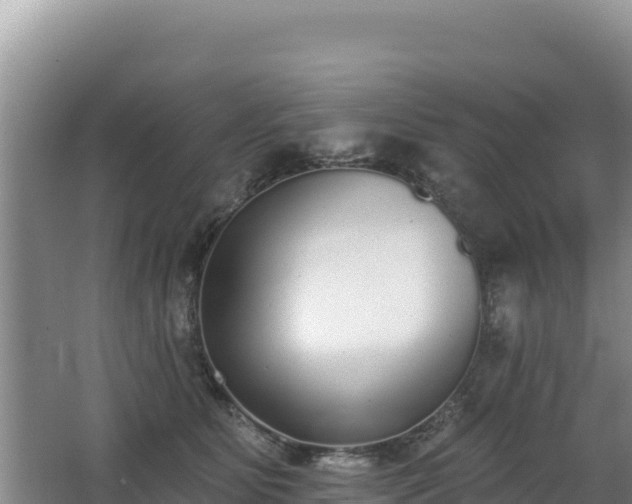 X0000062840515200601171448
