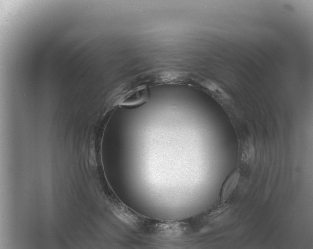 X0000062840524200601171448