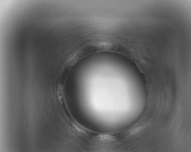 X0000062840528200601171448