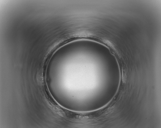 X0000062840531200601171447