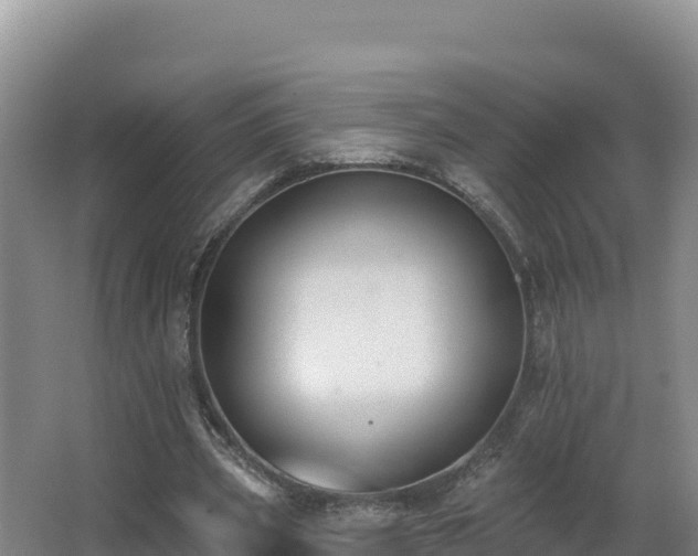 X0000062840533200601171448