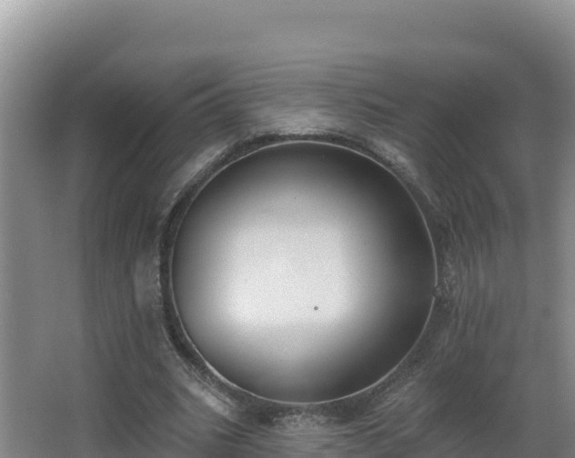 X0000062840535200601171448