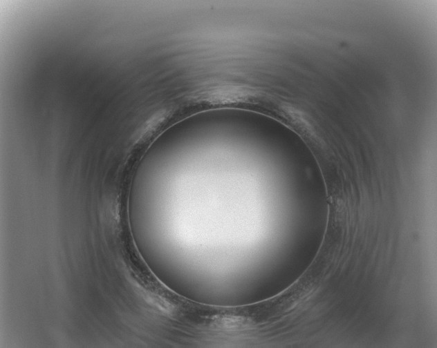 X0000062840539200601171448