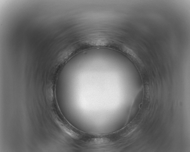 X0000062840541200601171448
