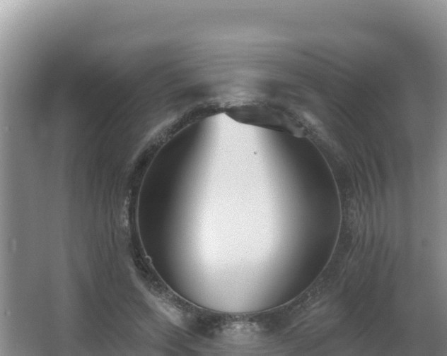 X0000062840543200601171448