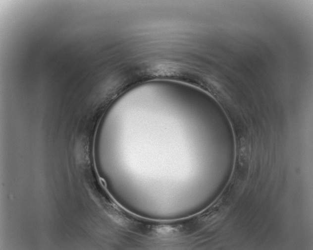 X0000062840547200601171448
