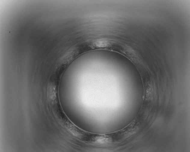 X0000062840555200601171448