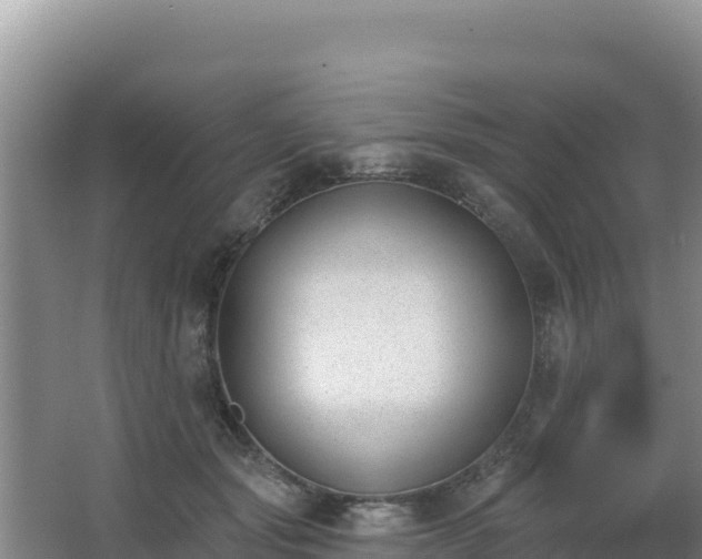 X0000062840557200601171448