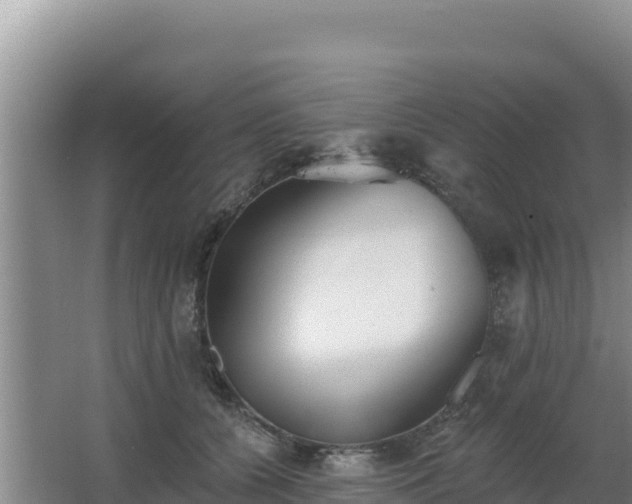 X0000062840560200601171448