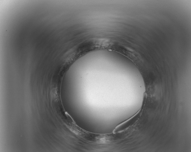 X0000062840564200601171448
