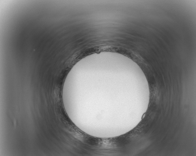X0000062840565200601171448