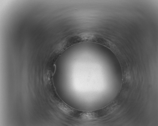 X0000062840567200601171448