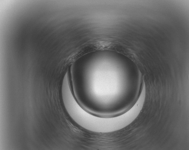 X0000062840570200601171448