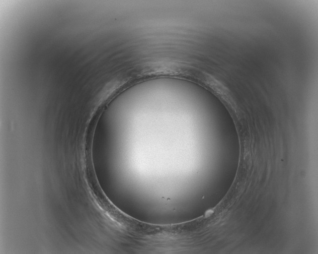 X0000062840578200601171447