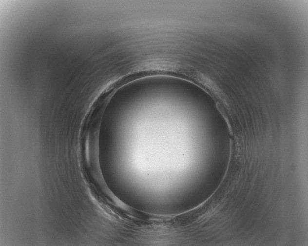 X0000062840580200601171447
