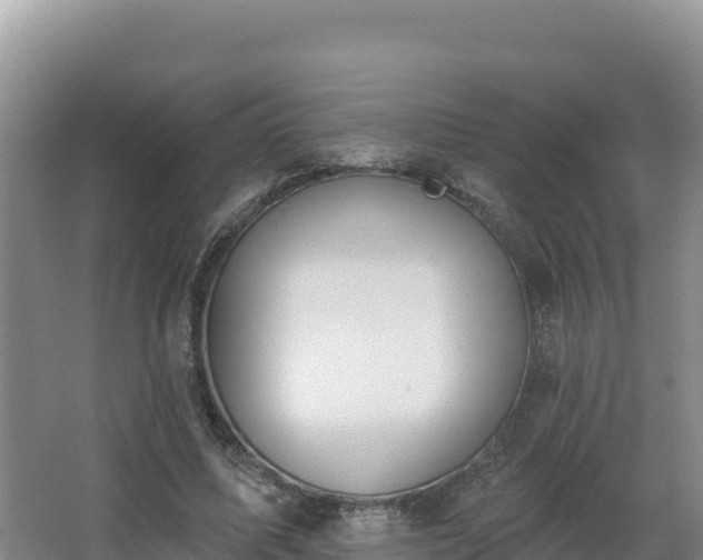 X0000062840587200601171447