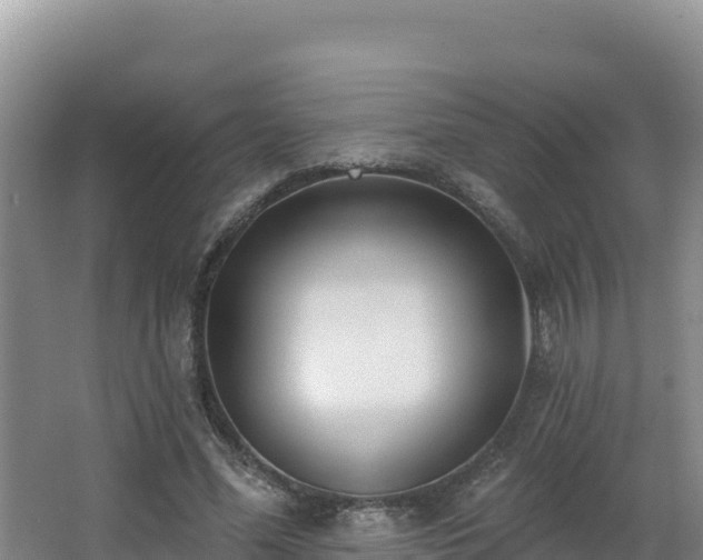 X0000062840588200601171447