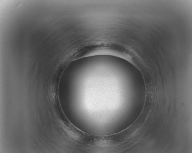 X0000062840593200601171447