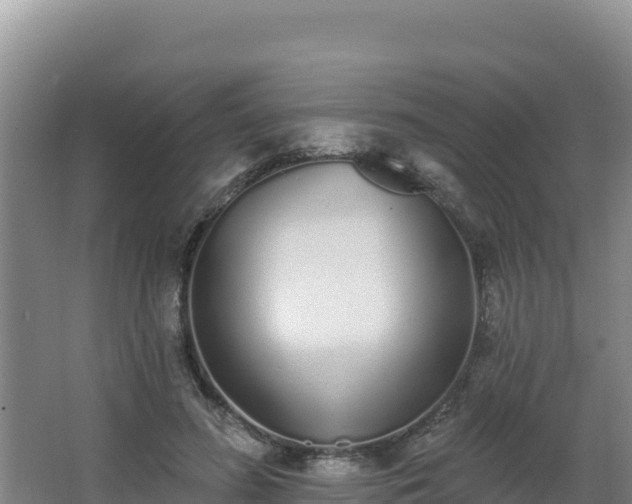 X0000062840596200601171447