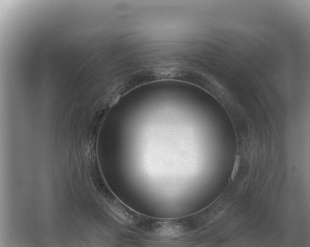 X0000062840601200601171447
