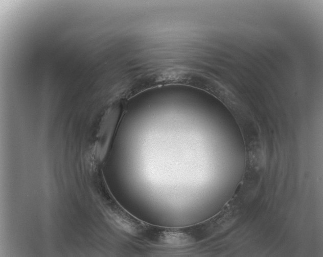 X0000062840605200601171447