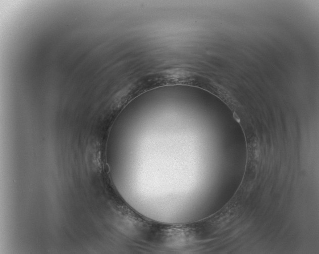 X0000062840615200601171447